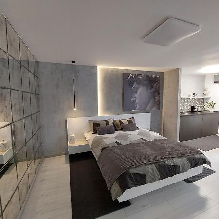 David'S Studio Temeşvar Dış mekan fotoğraf