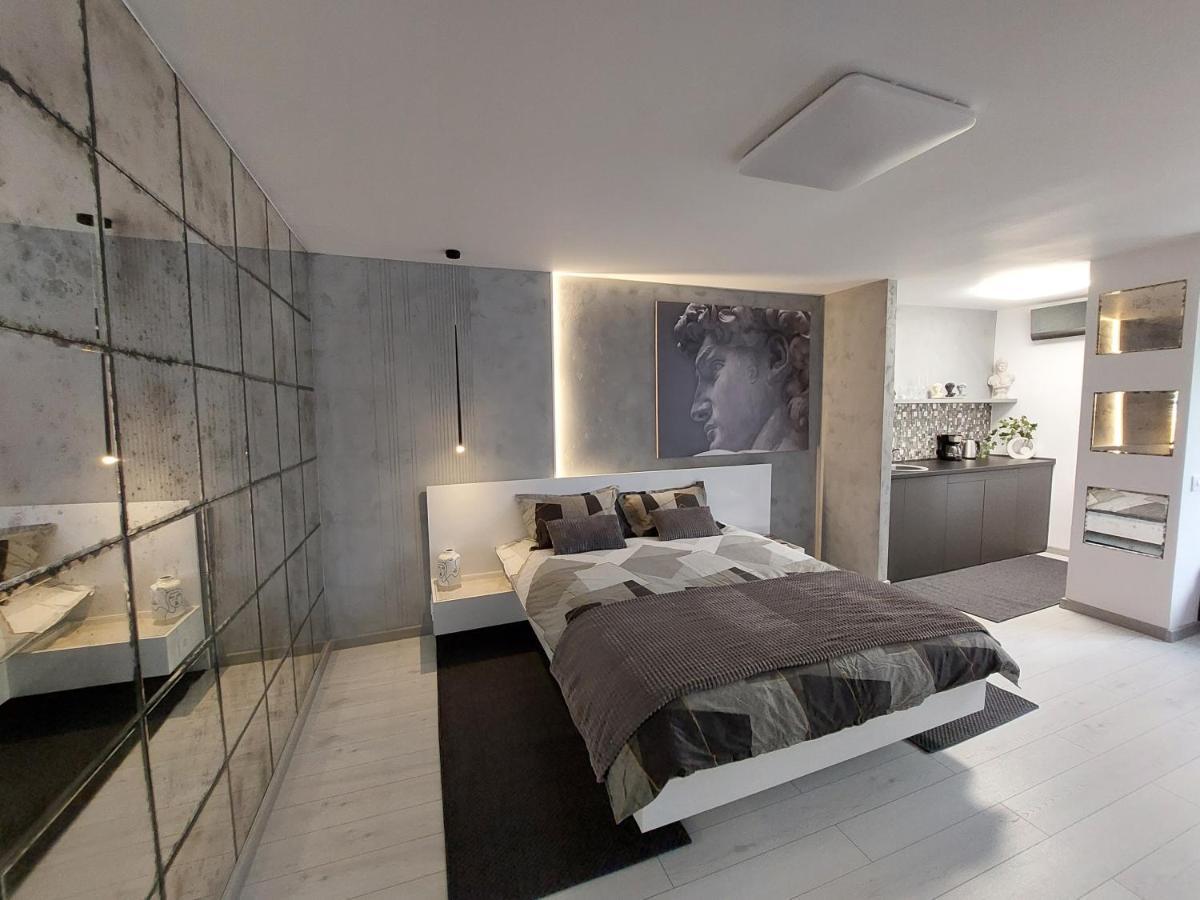 David'S Studio Temeşvar Dış mekan fotoğraf